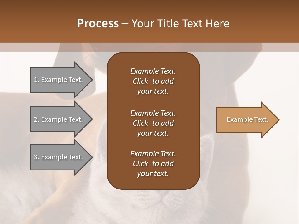 Black Kitty Life PowerPoint Template