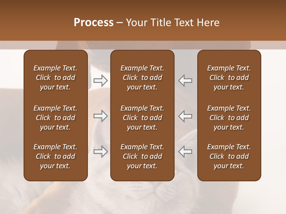 Black Kitty Life PowerPoint Template