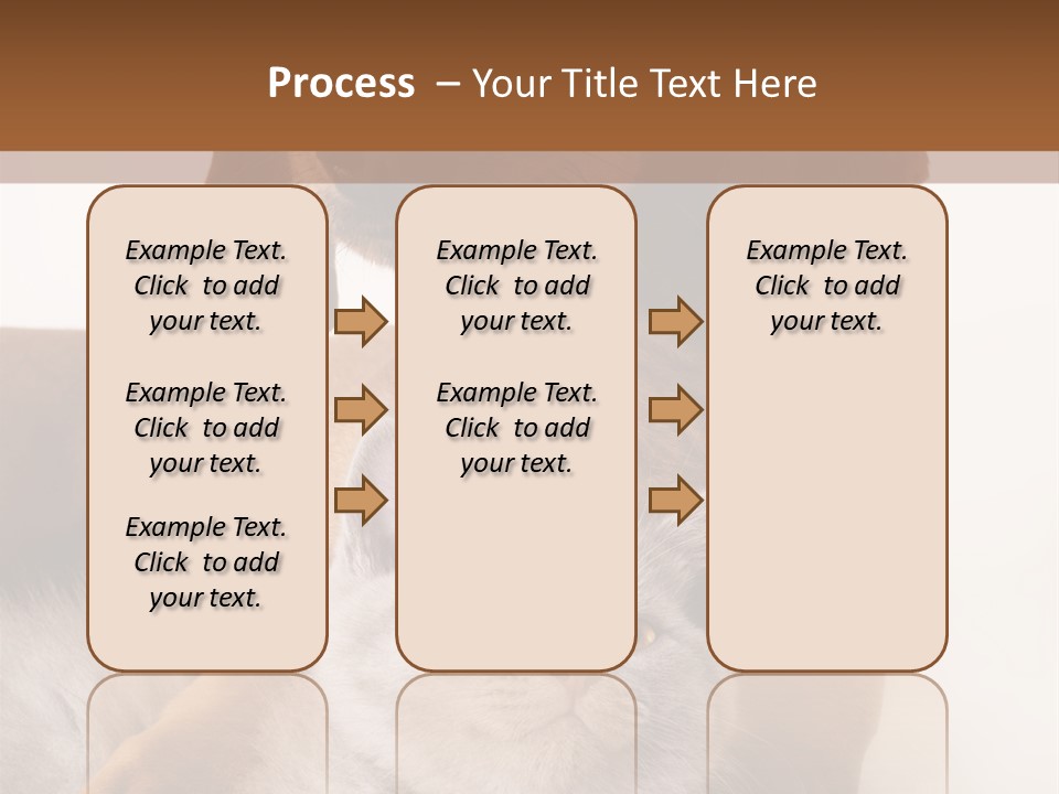 Black Kitty Life PowerPoint Template