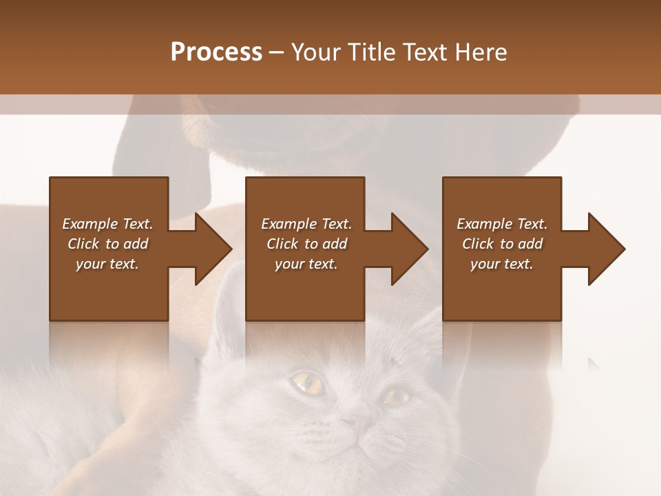 Black Kitty Life PowerPoint Template
