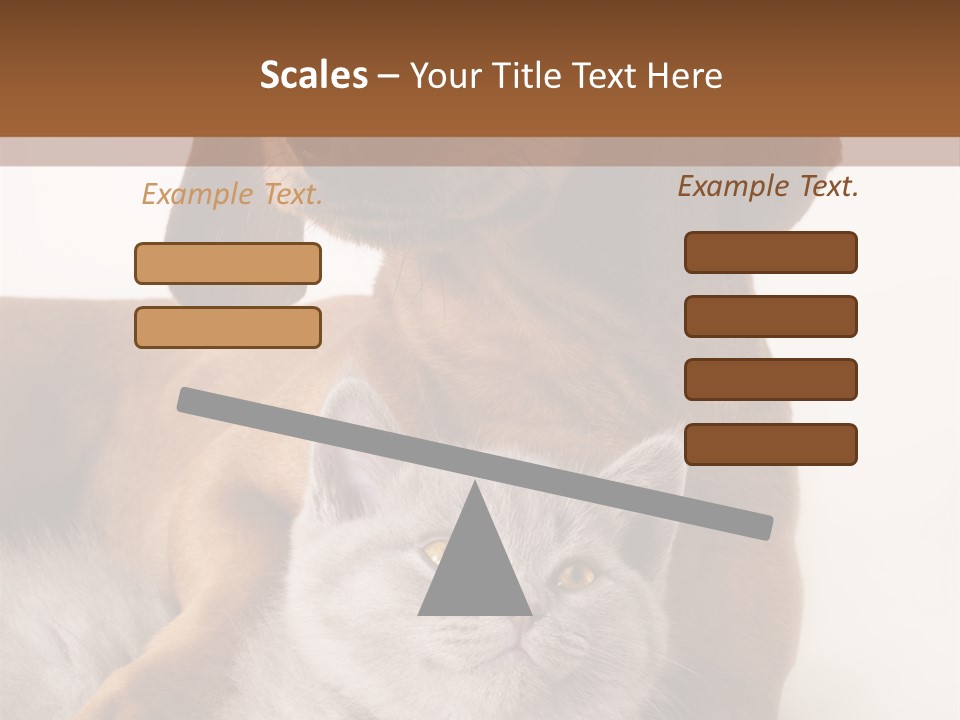 Black Kitty Life PowerPoint Template