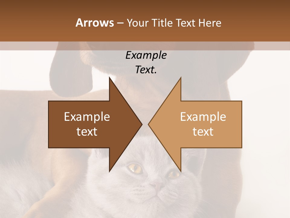 Black Kitty Life PowerPoint Template