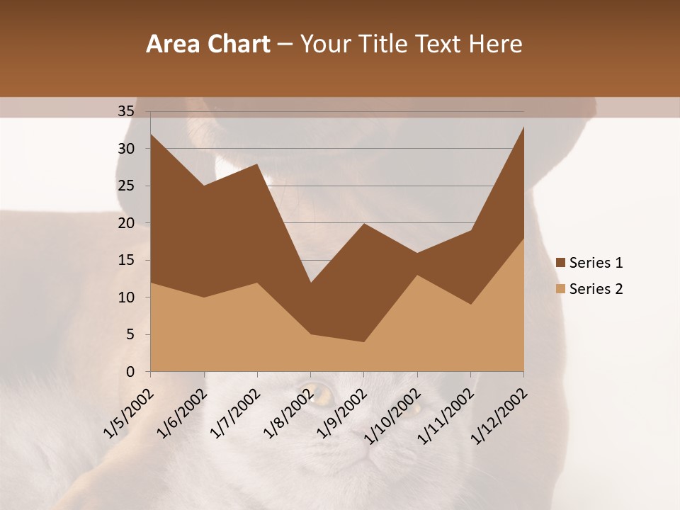 Black Kitty Life PowerPoint Template