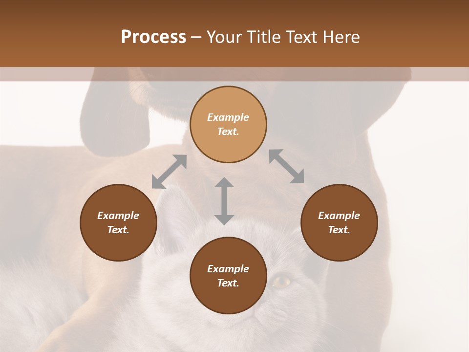 Black Kitty Life PowerPoint Template