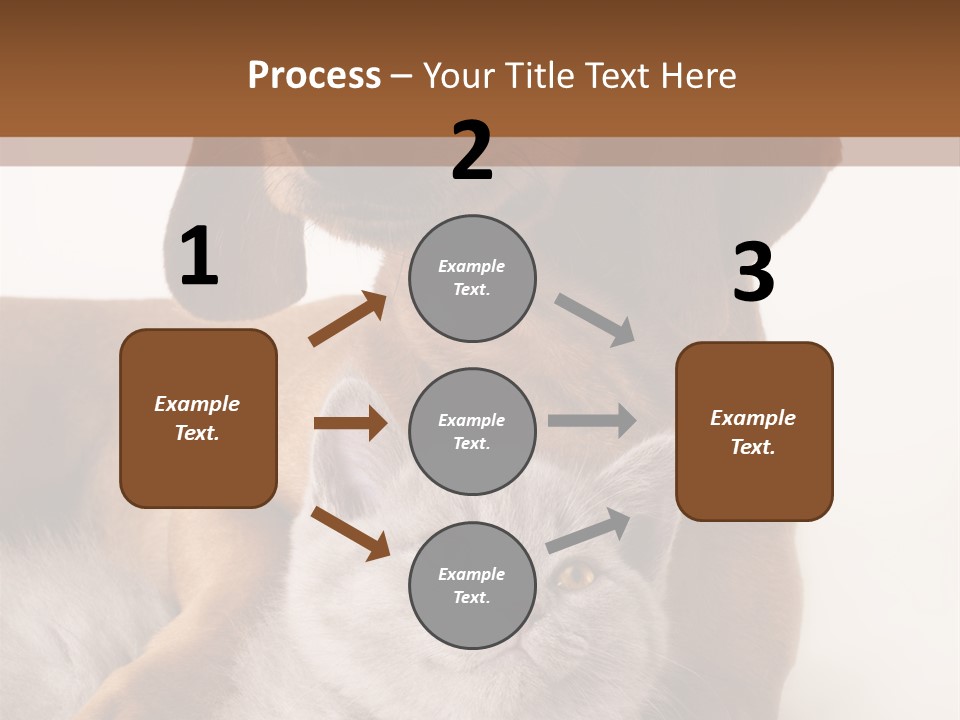 Black Kitty Life PowerPoint Template