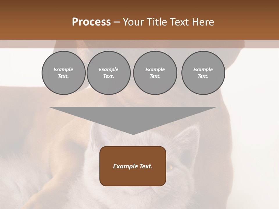 Black Kitty Life PowerPoint Template