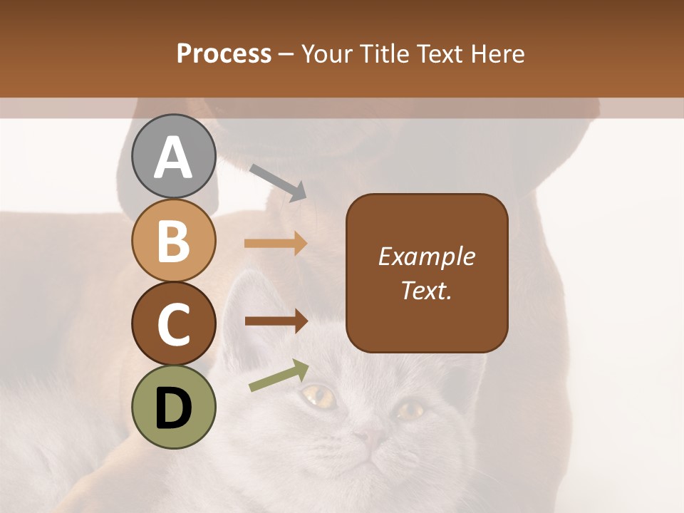 Black Kitty Life PowerPoint Template