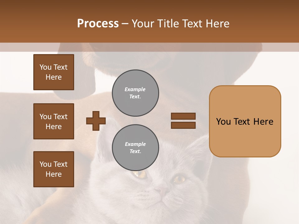 Black Kitty Life PowerPoint Template