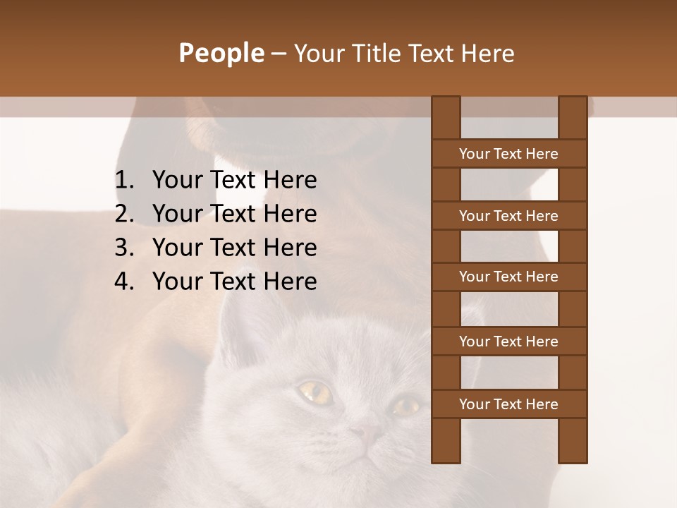Black Kitty Life PowerPoint Template