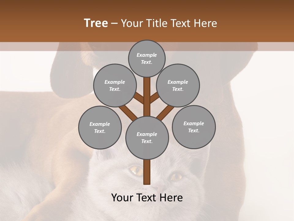 Black Kitty Life PowerPoint Template