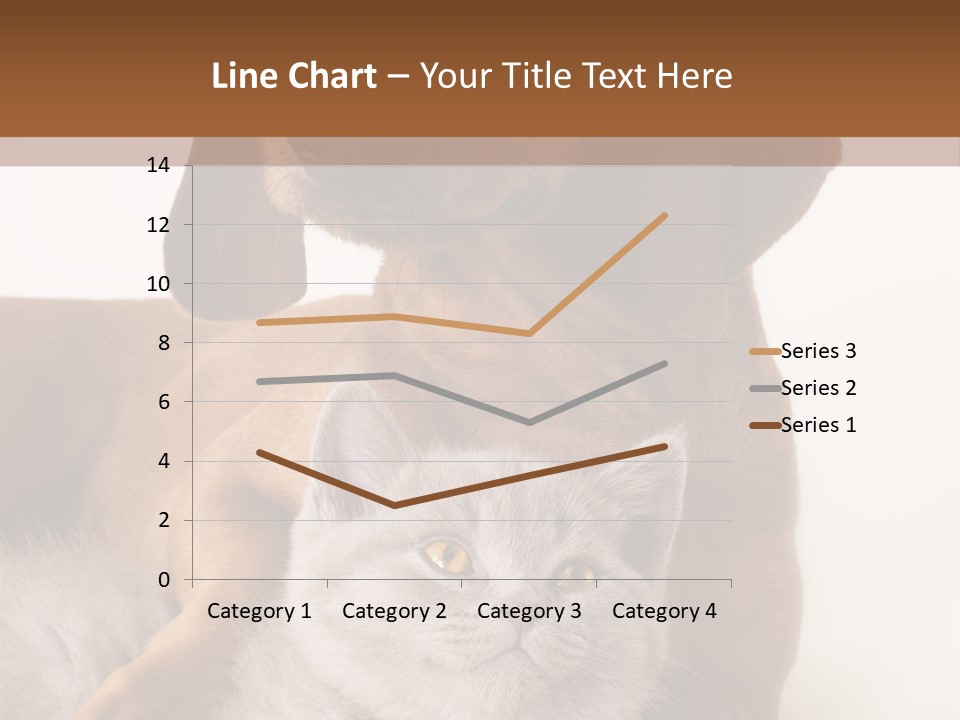 Black Kitty Life PowerPoint Template