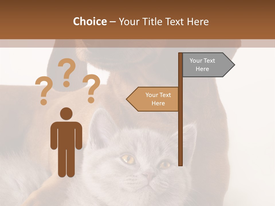 Black Kitty Life PowerPoint Template