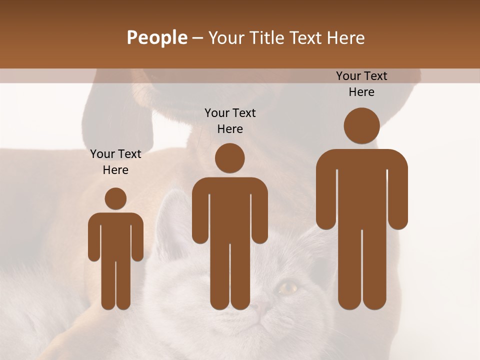 Black Kitty Life PowerPoint Template