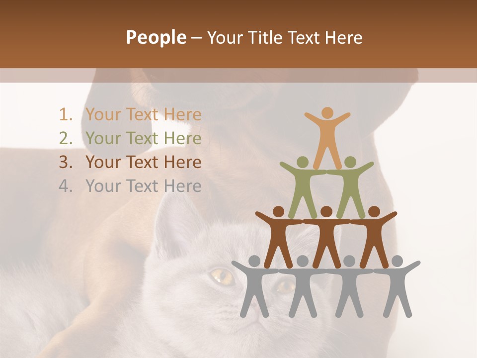 Black Kitty Life PowerPoint Template