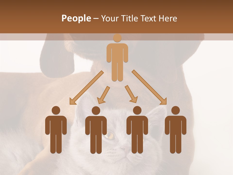 Black Kitty Life PowerPoint Template