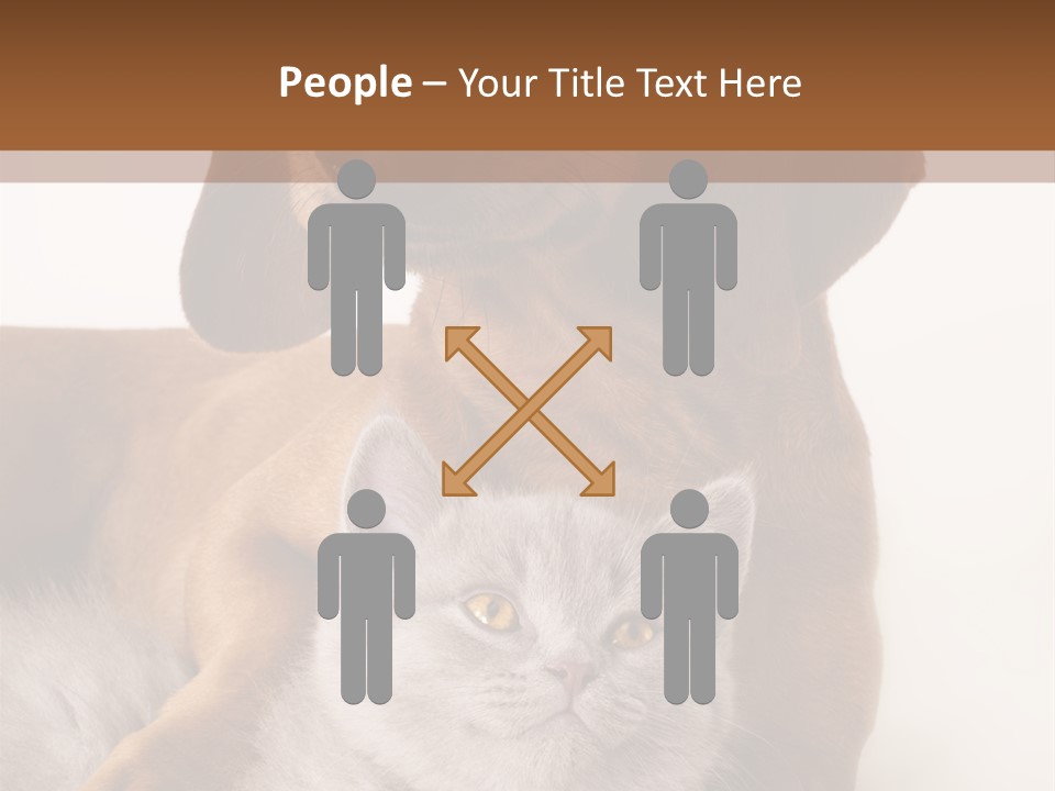 Black Kitty Life PowerPoint Template