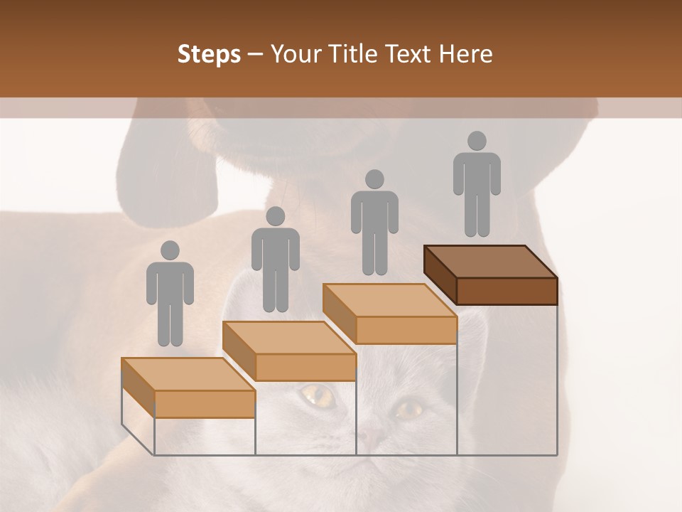 Black Kitty Life PowerPoint Template