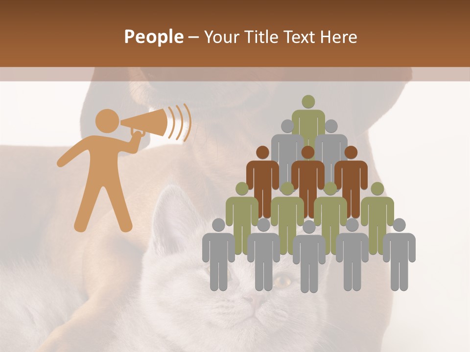 Black Kitty Life PowerPoint Template