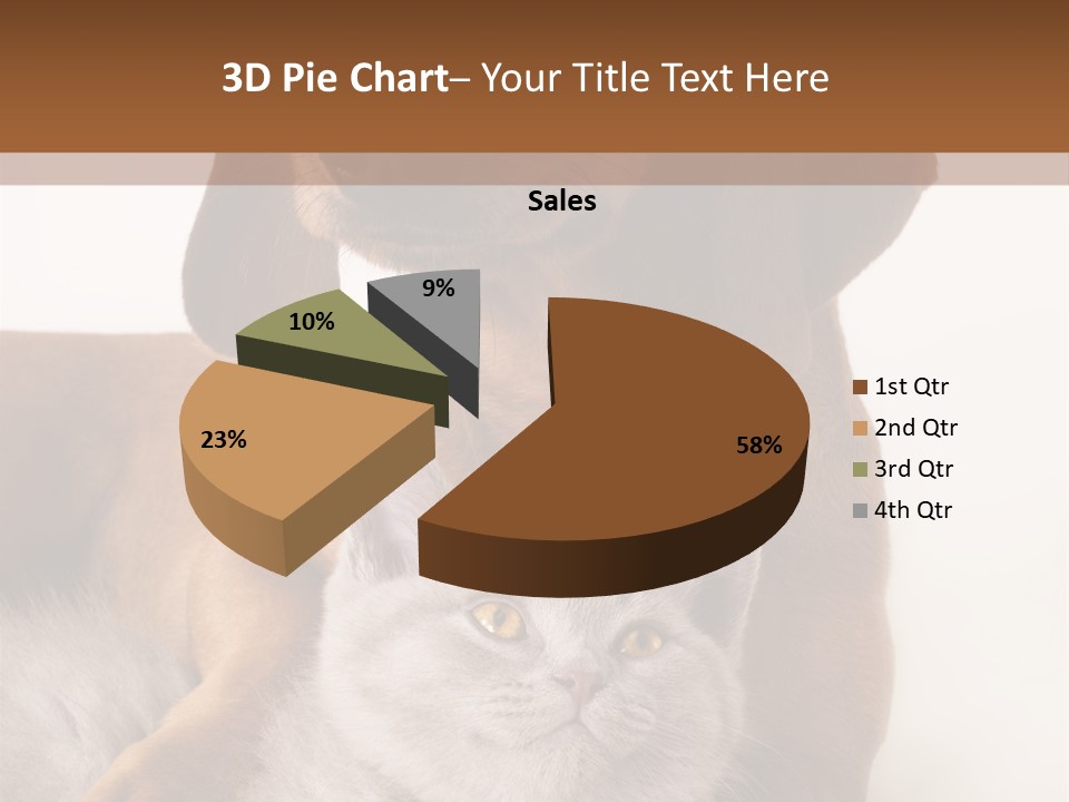 Black Kitty Life PowerPoint Template