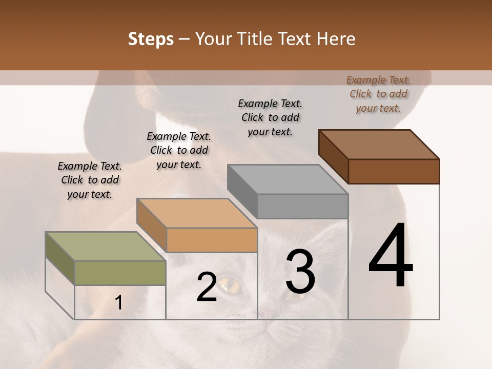 Black Kitty Life PowerPoint Template