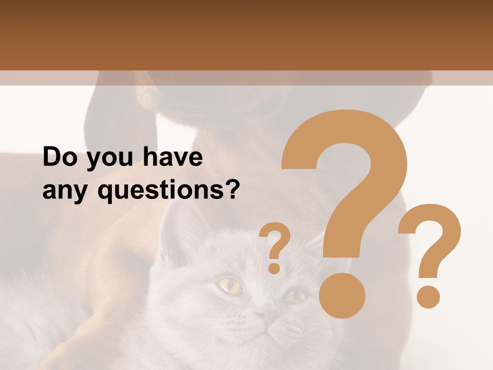 Black Kitty Life PowerPoint Template