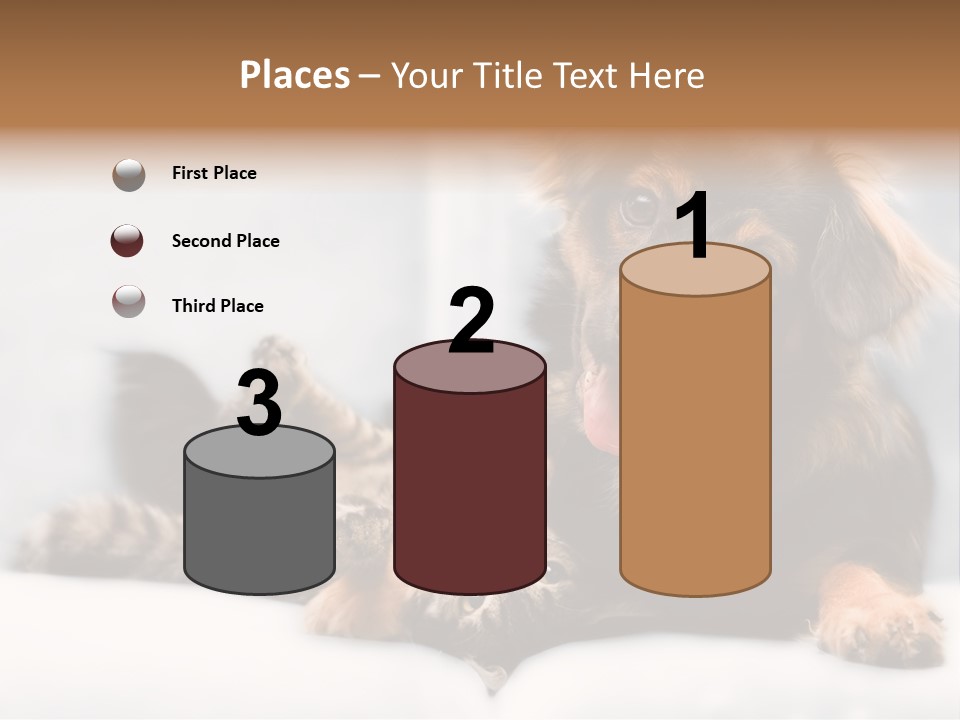 Nervous Students Worry PowerPoint Template
