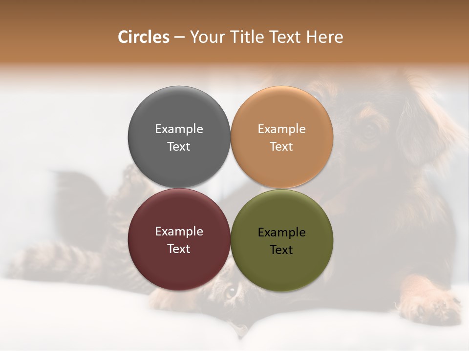 Nervous Students Worry PowerPoint Template