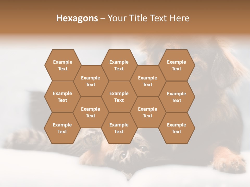 Nervous Students Worry PowerPoint Template