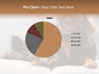 Nervous Students Worry PowerPoint Template