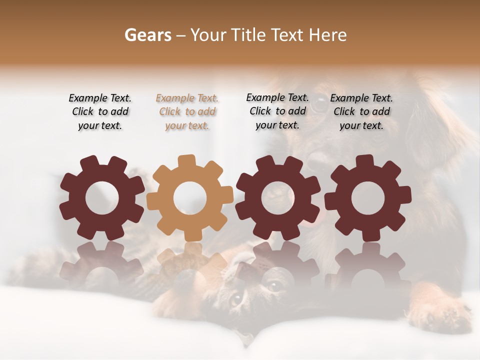 Nervous Students Worry PowerPoint Template