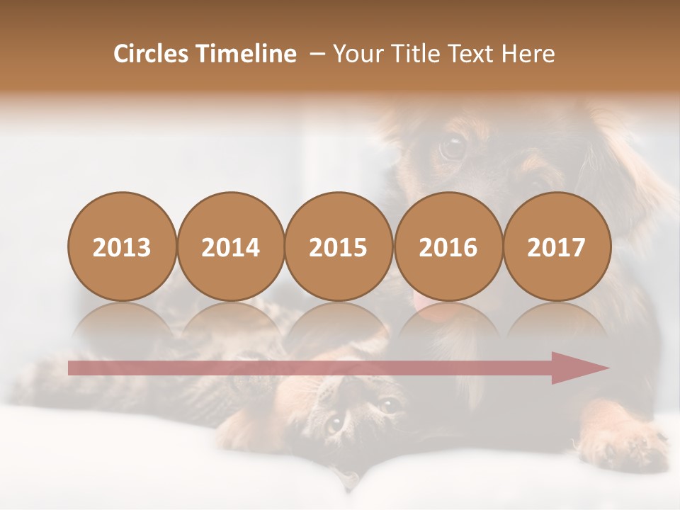 Nervous Students Worry PowerPoint Template