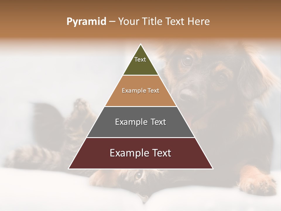 Nervous Students Worry PowerPoint Template
