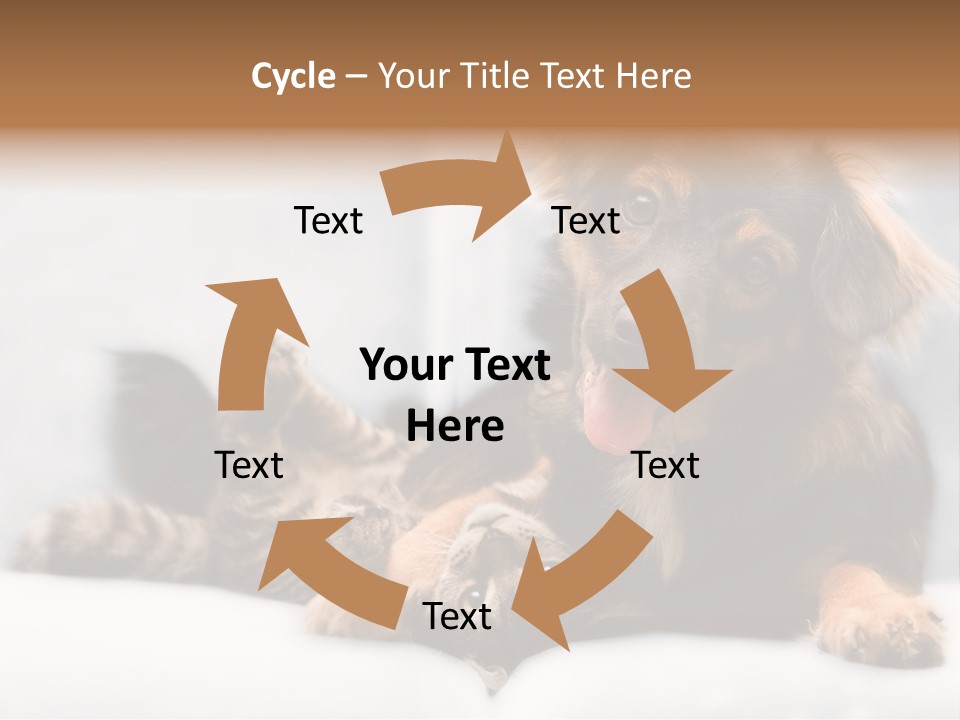 Nervous Students Worry PowerPoint Template