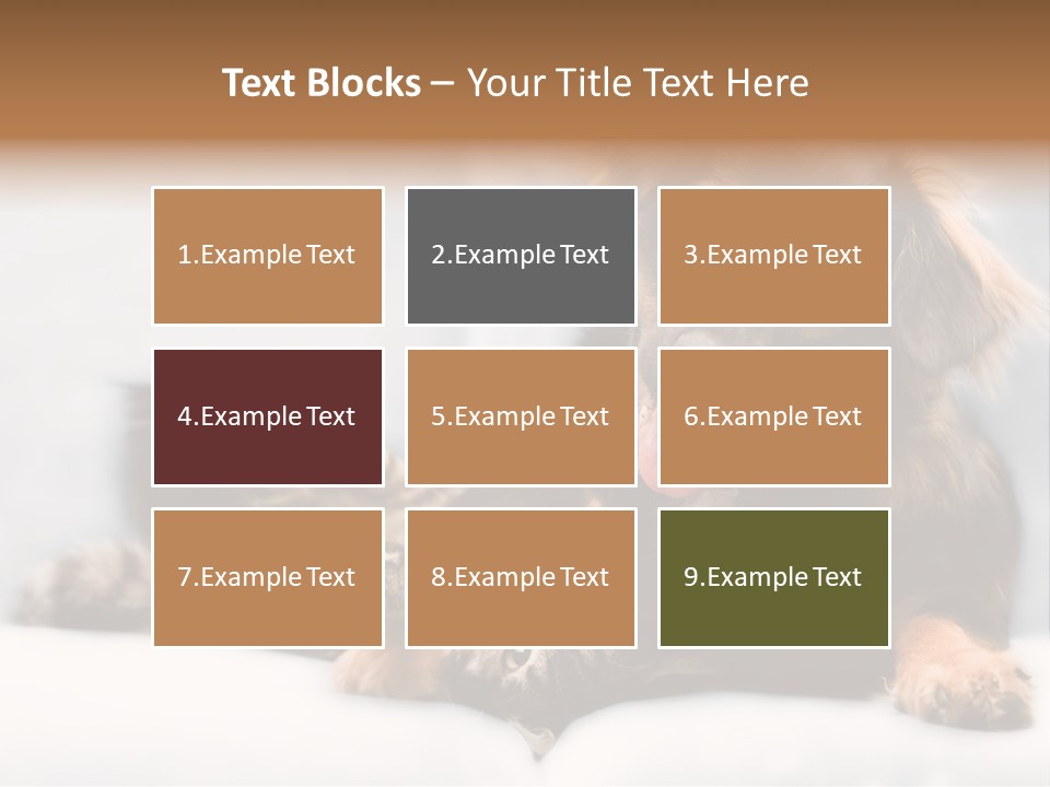 Nervous Students Worry PowerPoint Template