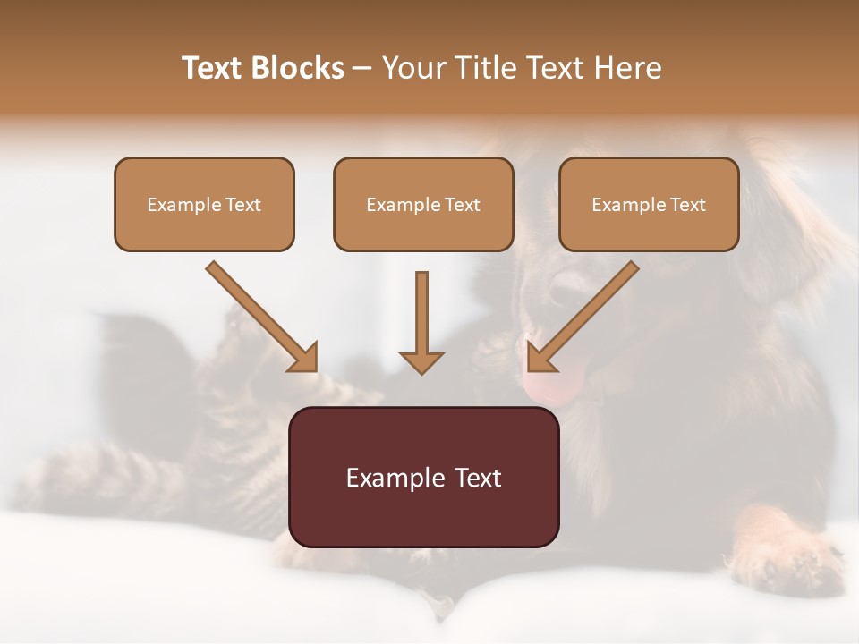 Nervous Students Worry PowerPoint Template