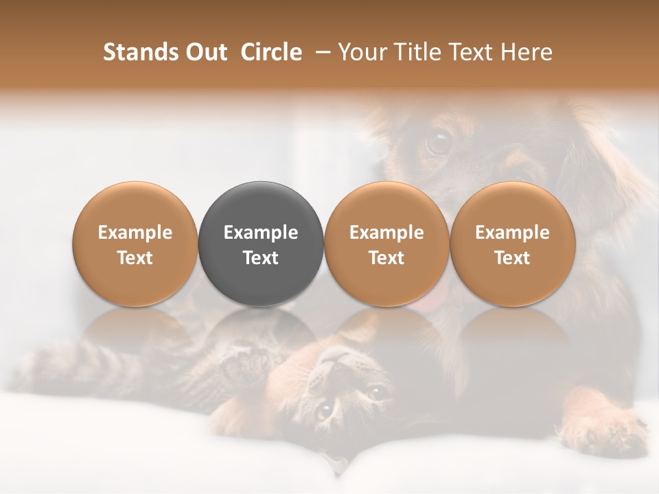 Nervous Students Worry PowerPoint Template