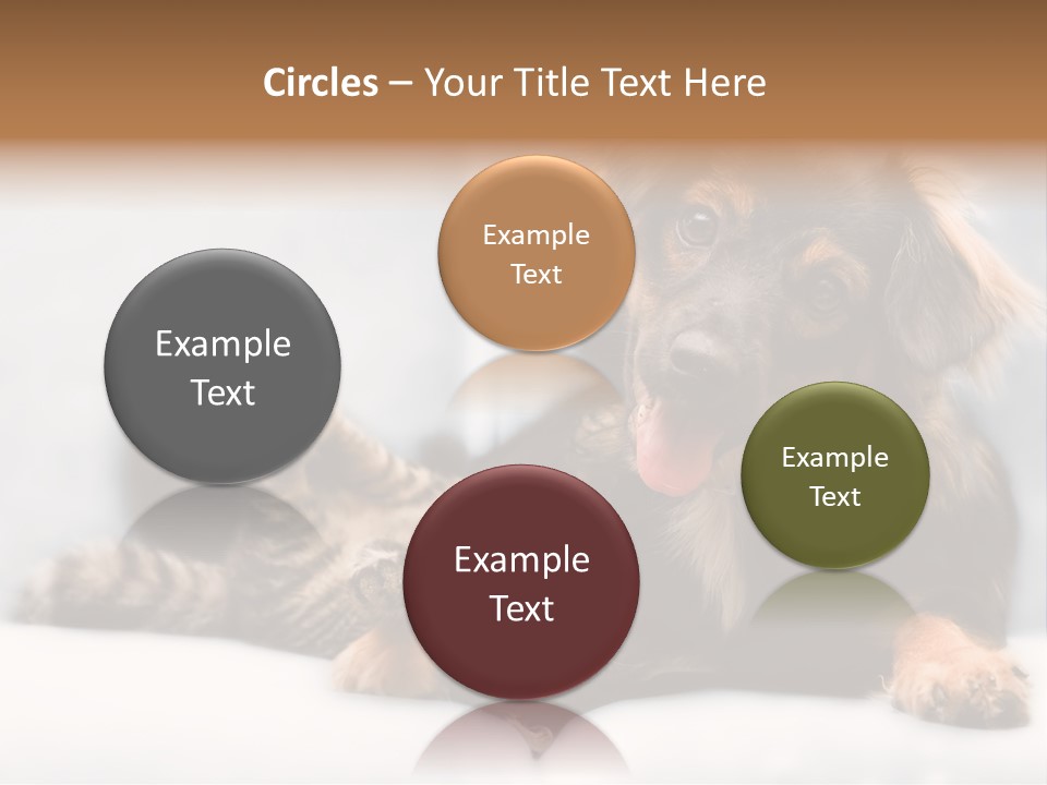 Nervous Students Worry PowerPoint Template