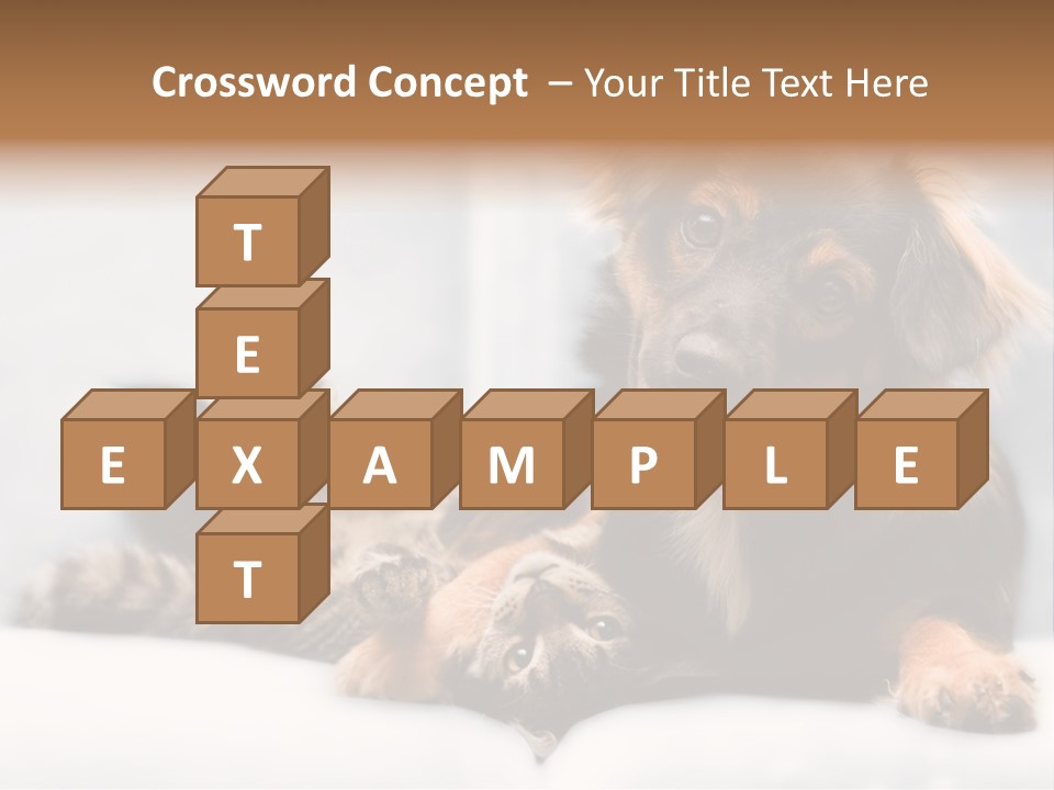 Nervous Students Worry PowerPoint Template