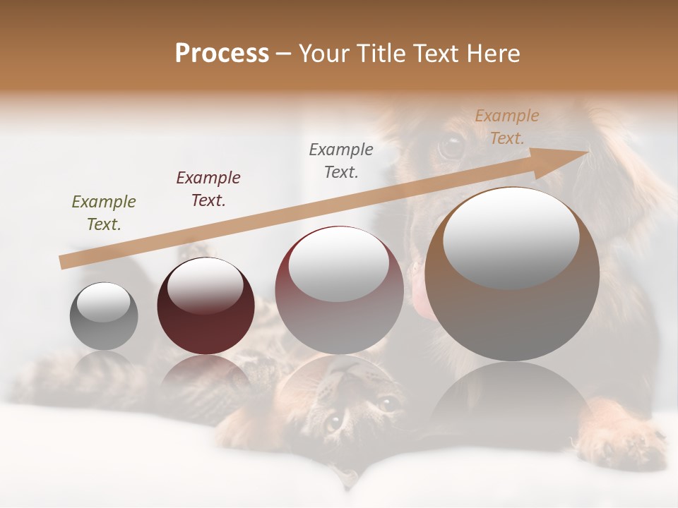 Nervous Students Worry PowerPoint Template