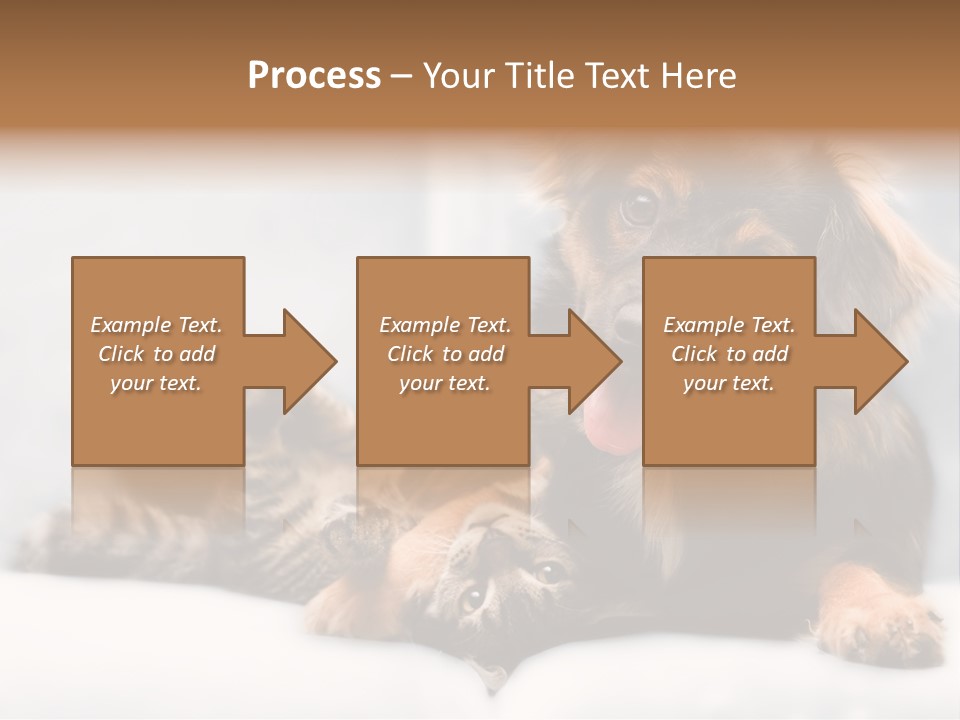 Nervous Students Worry PowerPoint Template
