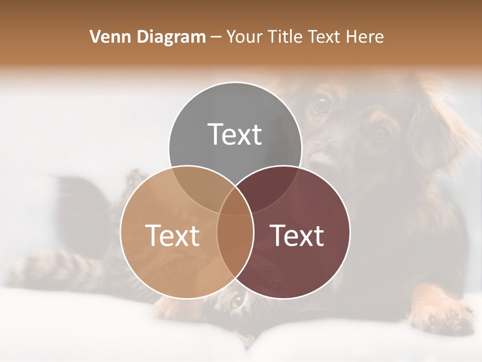 Nervous Students Worry PowerPoint Template