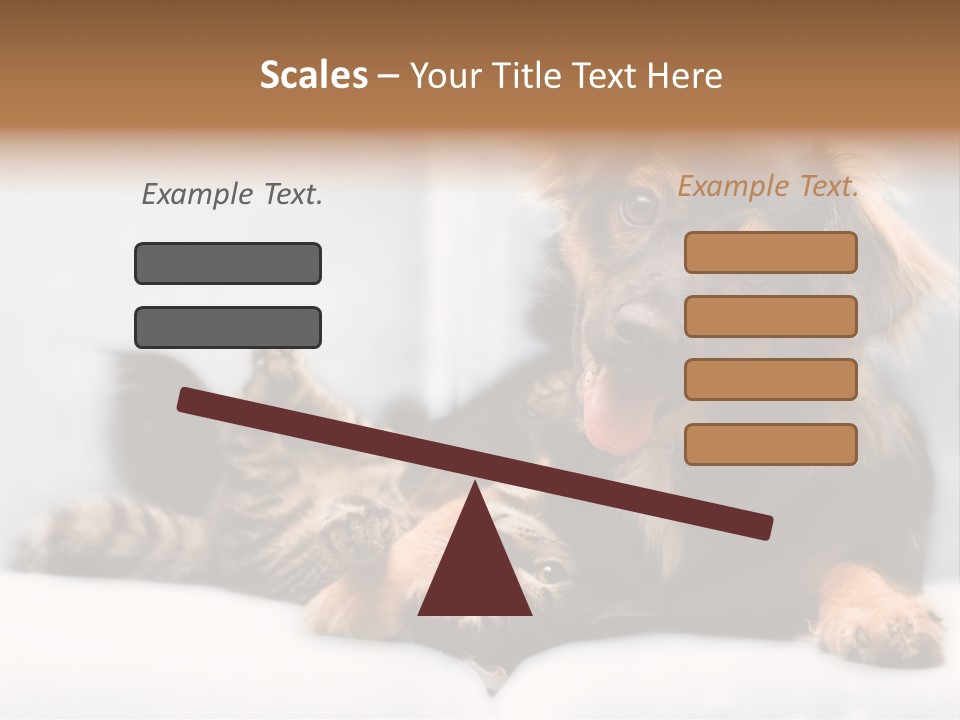 Nervous Students Worry PowerPoint Template