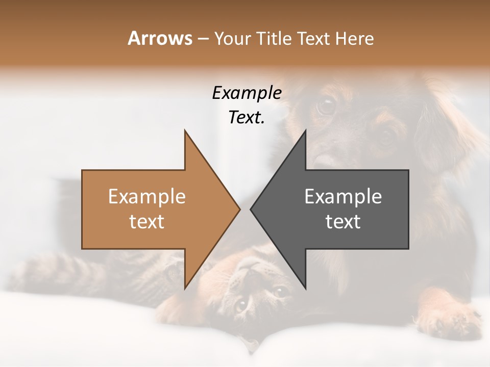 Nervous Students Worry PowerPoint Template