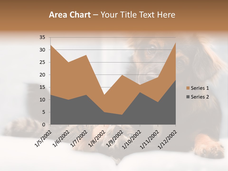 Nervous Students Worry PowerPoint Template