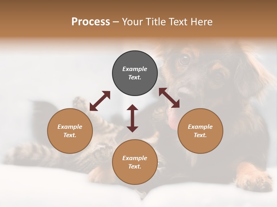 Nervous Students Worry PowerPoint Template