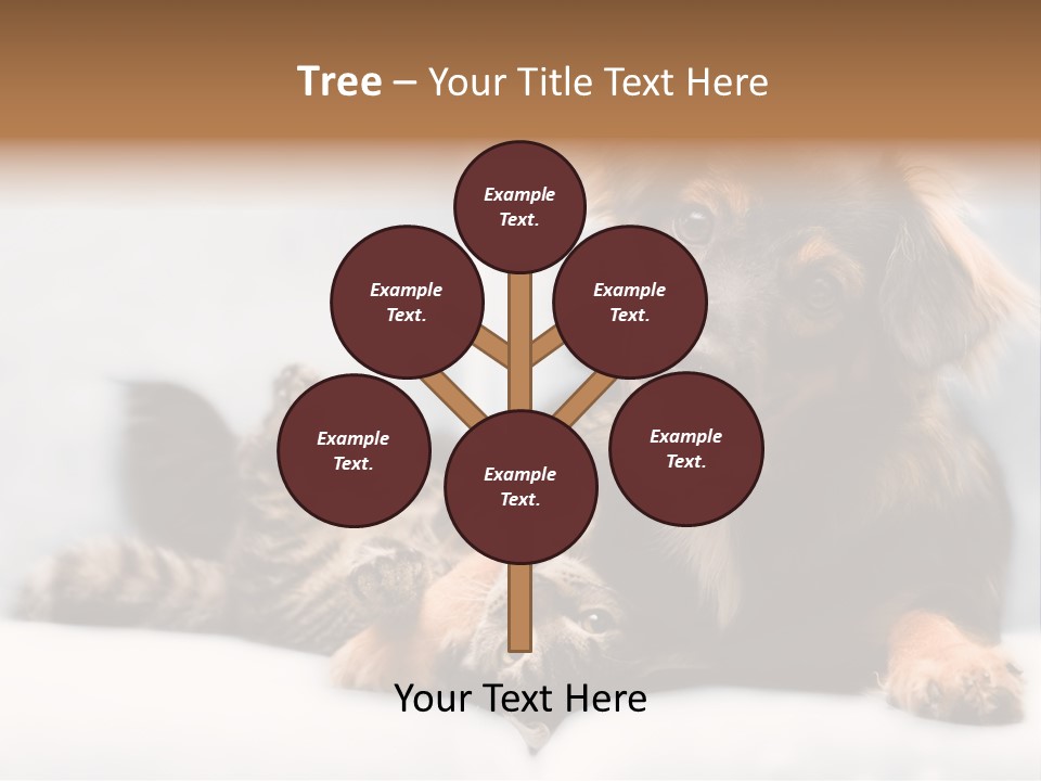 Nervous Students Worry PowerPoint Template