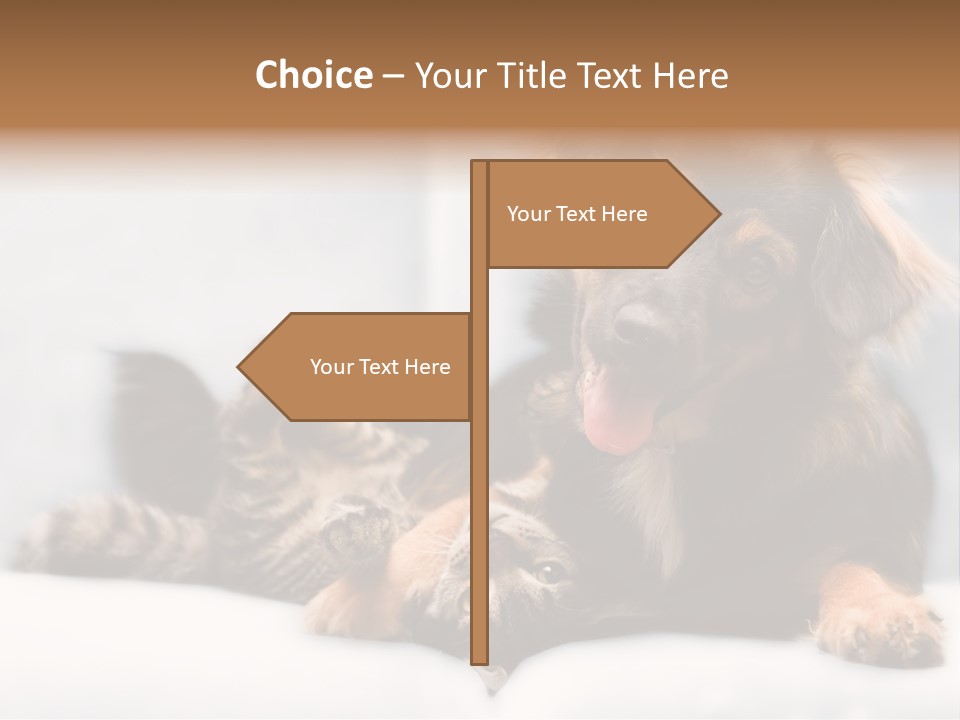 Nervous Students Worry PowerPoint Template