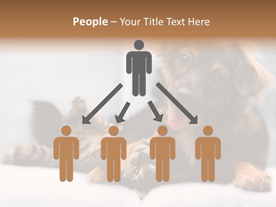 Nervous Students Worry PowerPoint Template