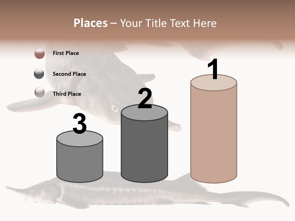 Seafood Closeup Sturgeon PowerPoint Template