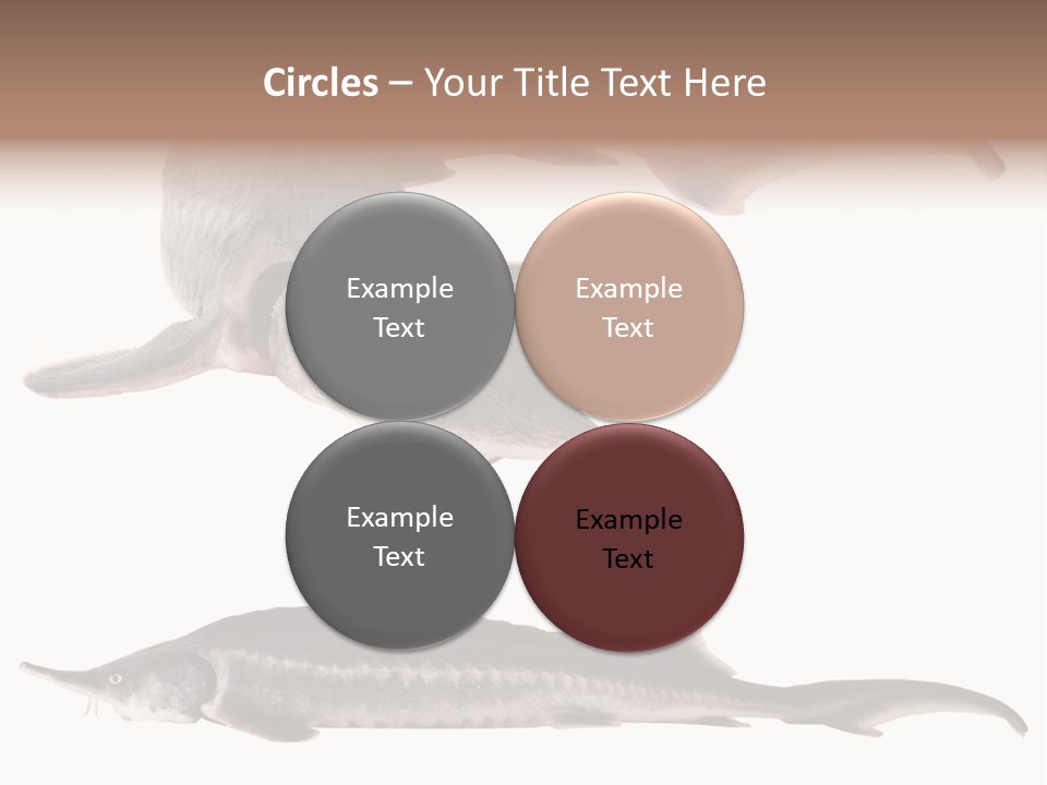 Seafood Closeup Sturgeon PowerPoint Template